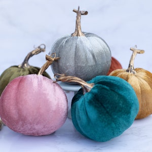 Peut inclure: Plusieurs citrouilles en velours de différentes couleurs : rose, turquoise, or et gris. Chaque citrouille est ornée d'une tige marron. Elles sont disposées sur une surface blanche, évoquant l'automne.