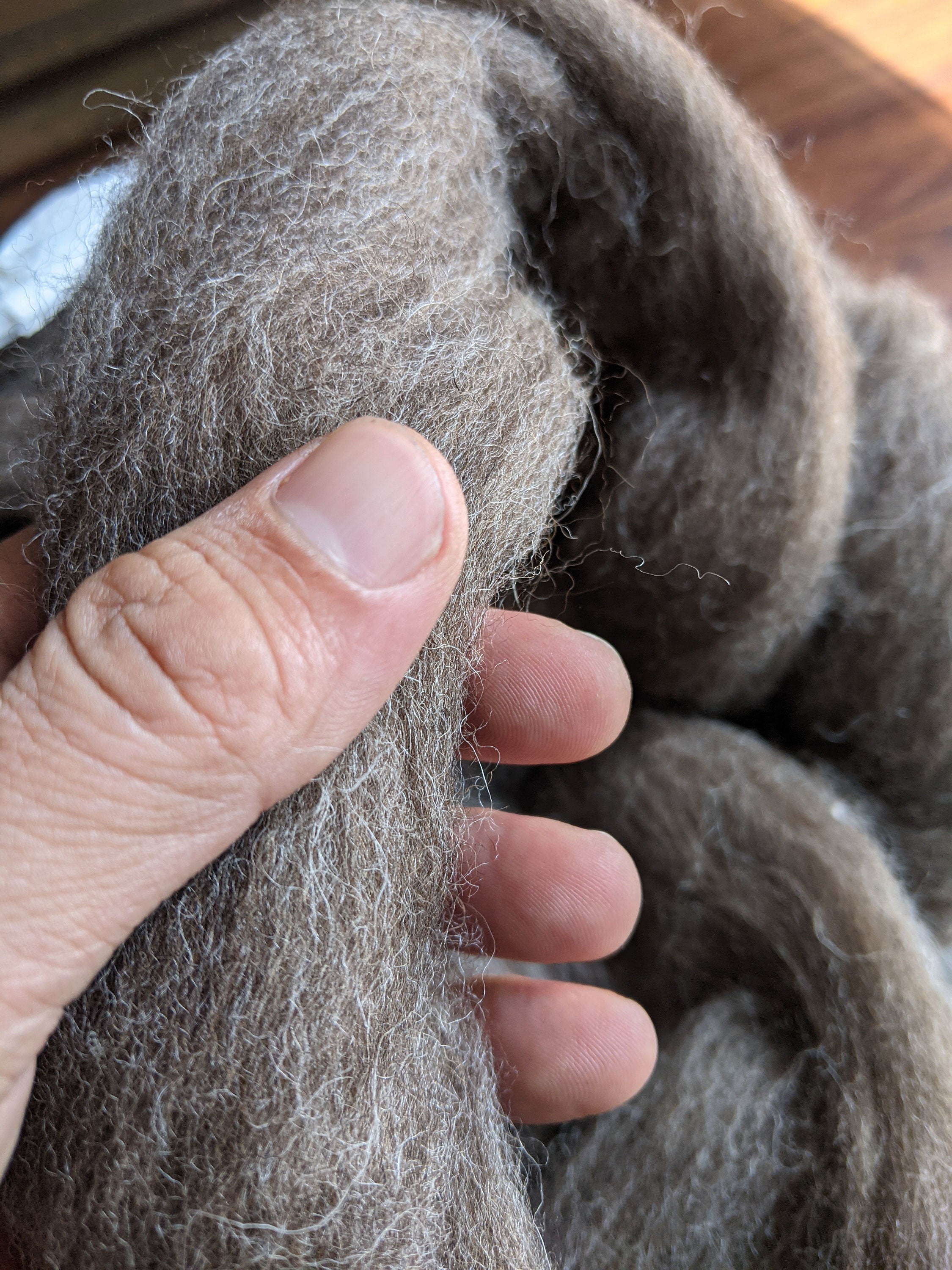 Wool Roving 4 Lbs Bulk Roll Natural Brown Mocha Undyed Wool Etsy