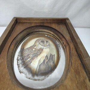 Vintage Hand Painted Mid Century Owl Mirror Framed Wood Wall Decor. 12" x 8"