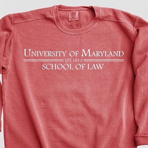 Customized University Sweatshirt, Group-Business-School, Personalized College Sweatshirt, Comfort Colors Sweatshirt, Custom Logo Sweatshirt