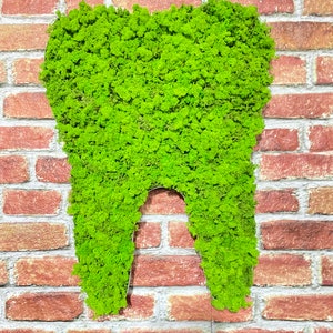 Wall moss Dentist office sign, Dental wall art, Vertical moss art,Dental Office Wall Decor, Orthodontist Office Sign,Tooth wall decor