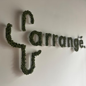 Custom Moss Logo Sign, Reindeer Moss Letters, Office Decor