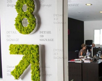 Custom Green Wall Decor, Foamex Frame Vertical Moss Art, Wall Moss office sign | Custom Moss Letters & Logo Sign, Logo For Business