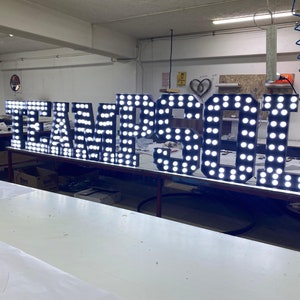 LED Carnival Circus Light Up,Wedding letters,Custom Marquee Signs,Bulb Light Up Letters,Metal Bulb Logo,Bar Sign