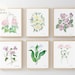 see more listings in the Botanical Prints section