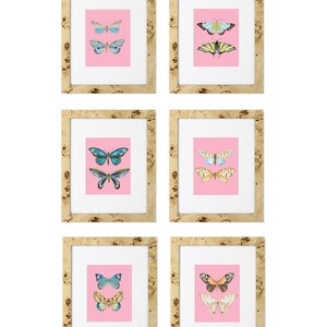 Set of 6 Watercolor Butterflies in Bubblegum Pink