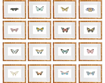 Set of 16 Botanical wall decor | Watercolor Butterflies