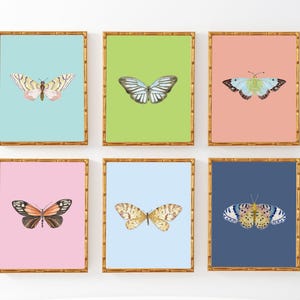 Set of 6 Watercolor Butterflies Multiple Colors | Butterfly Art | Butterfly Prints in Pink, Blue, Navy, Teal, Peach and Lime Green
