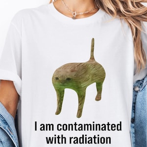 I Am Contaminated Funny Cat Meme Unisex Heavy Cotton Tee, Ironic Shirt, Weirdcore Clothing, Low Poly Feline, Unhinged Shirt, Oddly Specific