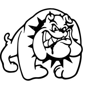 Drool guard sale