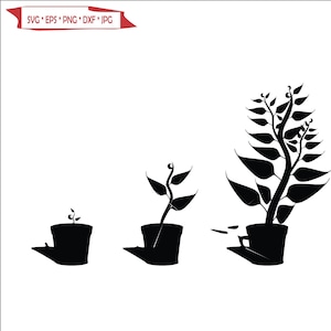 Puede incluir: Tres imágenes en silueta negra de plantas en maceta en diferentes etapas de crecimiento. La planta más pequeña es un brote, la planta del medio es una planta pequeña y la planta más grande es una planta grande con muchas hojas.