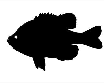 Download Bluegill Svg Etsy