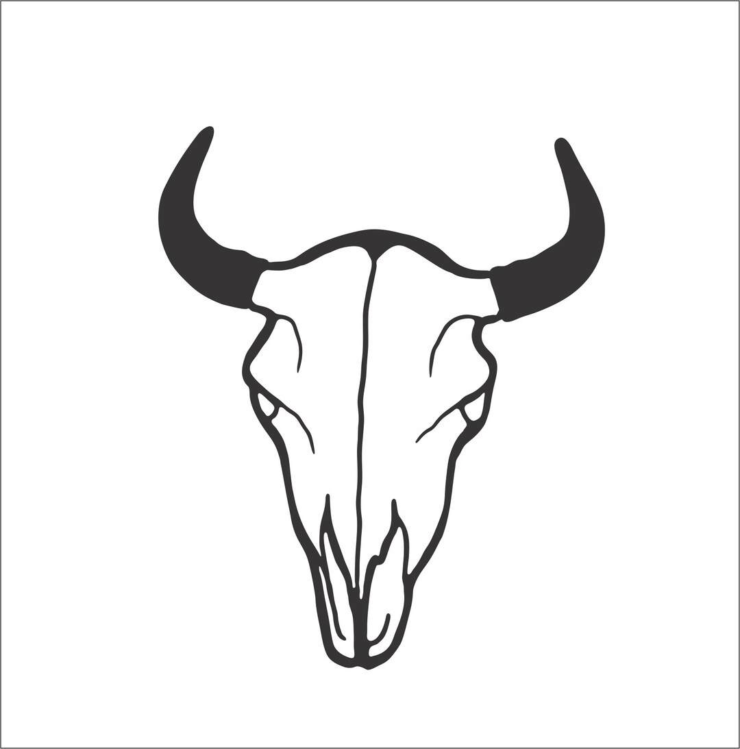 Horn Skull Longhorn 6 Steer Skull Cattle Cow Horn Bull Head Farm Animal