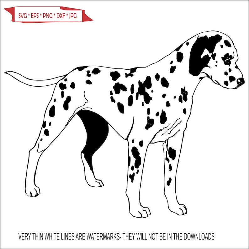 Dalmatian Dog Black Spots Highly Energetic Firedog Protection