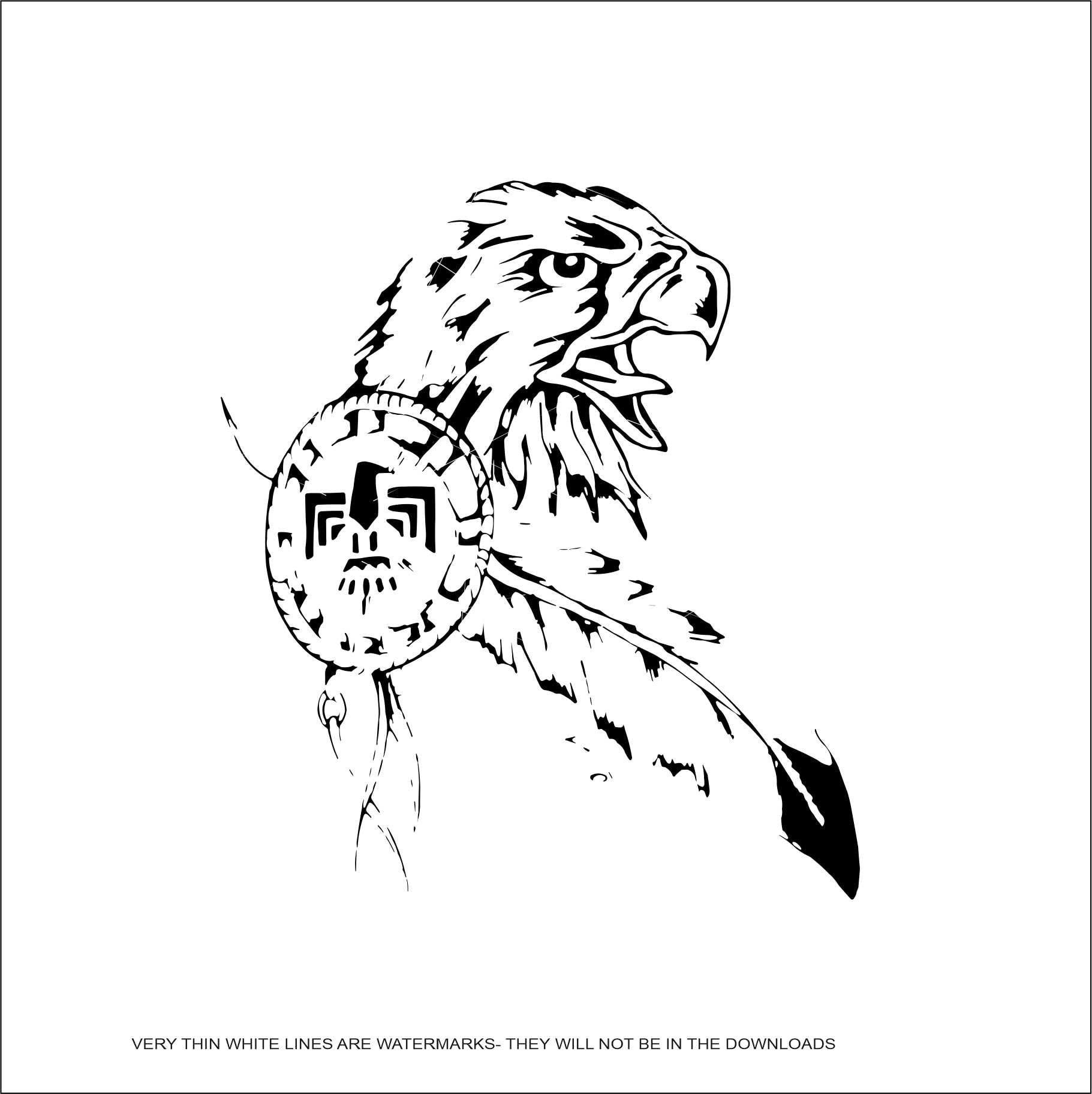 Indian Eagle Feather Drawing