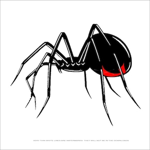 May include: Black and red spider silhouette with eight legs. The spider is facing right and has a red hourglass marking on its abdomen.