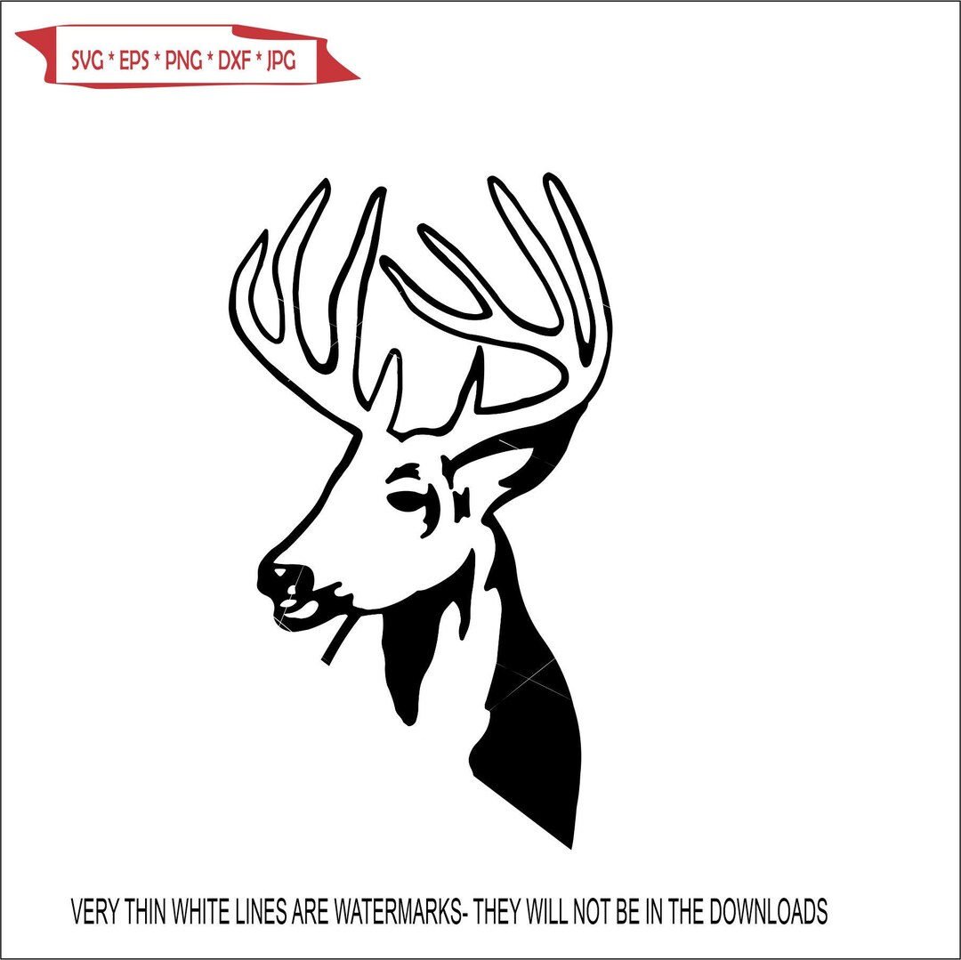 Deer Head Racks Antler Roe Buck Hunting Forest Animal Taxidermy Trophy ...