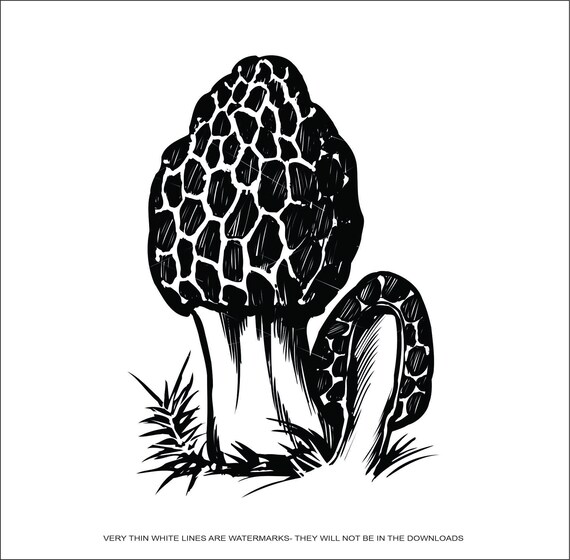 Digital Morel Mushroom Cut File SVG Instant Download scalable png dxf