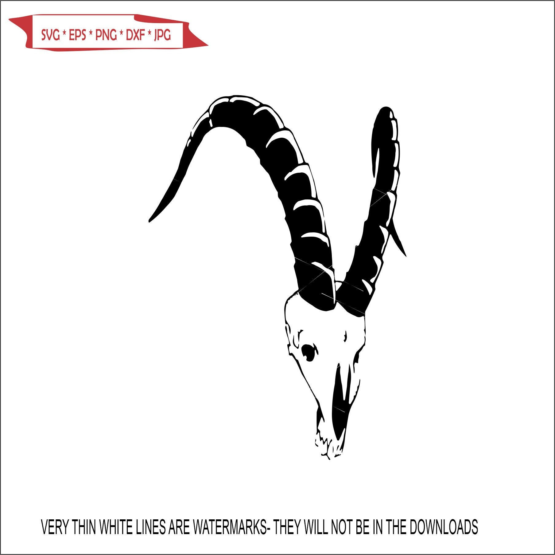 Skull Antelope Gazelle Head Long Horns Body Stag Hoofed Wild - Etsy