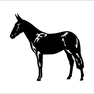 Mule male Donkey burro Jackass Horse Jenny Jack Male Cut Sign Image ClipArt digital download eps/dxf/png/jpeg/svg