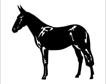 Mule male Donkey burro Jackass Horse Jenny Jack Male Cut Sign Image ClipArt digital download eps/dxf/png/jpeg/svg