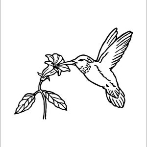 Hummingbird Nectar Blooms Hovering Bird Sugar Water Feeder Wing Beauty Animal* Cut Sign Image ClipArt digital download eps dxf png jpeg svg