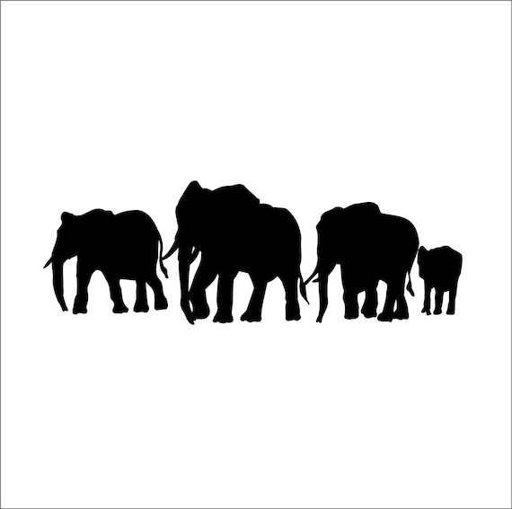 Elephant Family 4 Elephants Largest Land Mammals Zoo Safari - Etsy Israel Elephant Family 4 Elephants Largest Land Mammals Zoo Safari - Etsy Israel