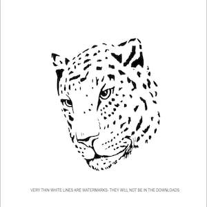 Face Cheetah Cougar Jaguar Leopard Mountain Lion Cat Wild Native Africa Animal Zoo * Cut Sign ClipArt digital download eps dxf png jpeg SVG