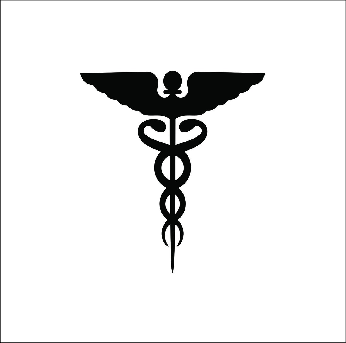 Caduceus Medical Staff 2 Snakes Wrapped Around Doctor Nurse Etsy