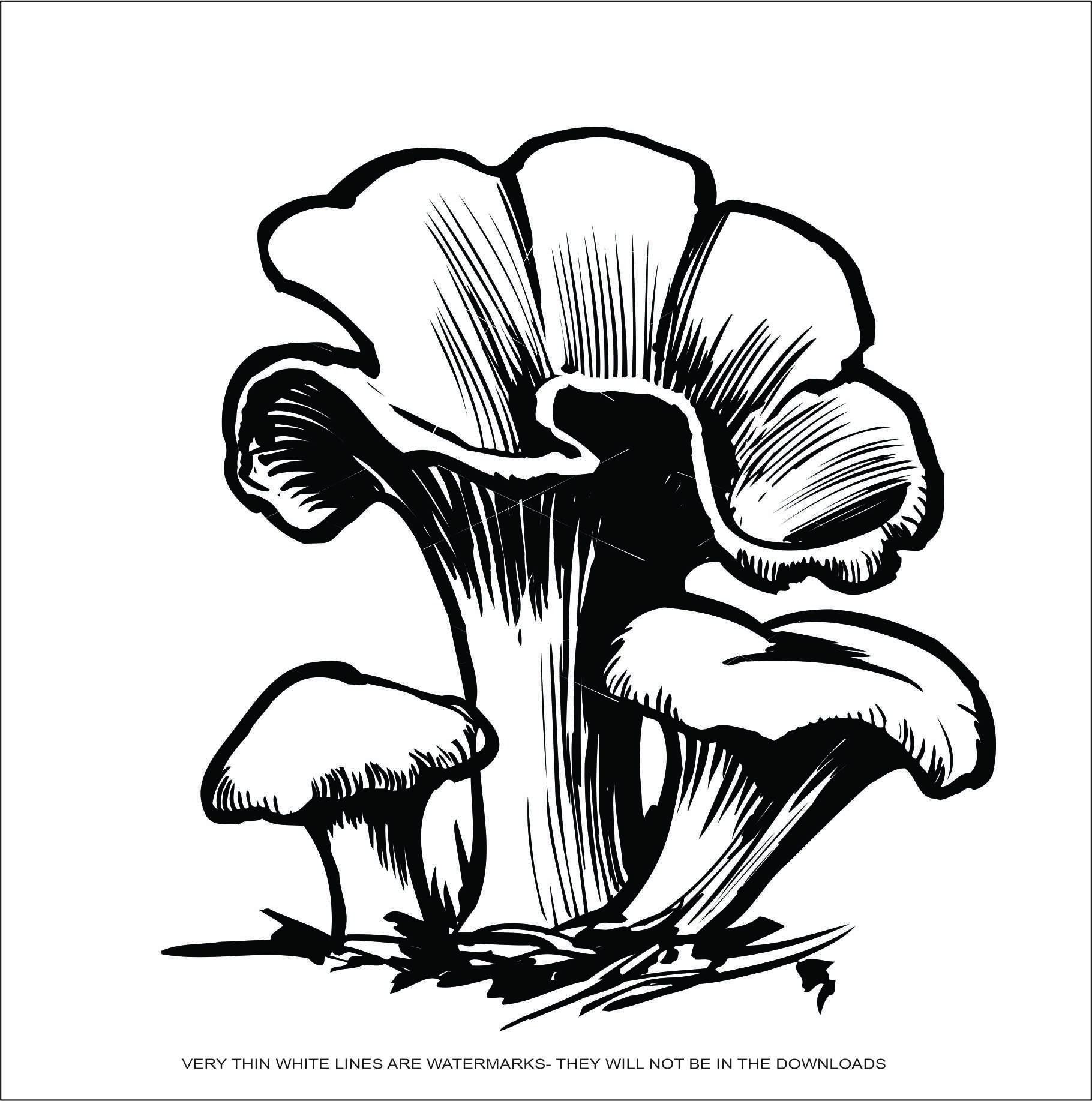 Maitake Mushroom Dancing Vegetable Grill Cookout Food Immune Etsy