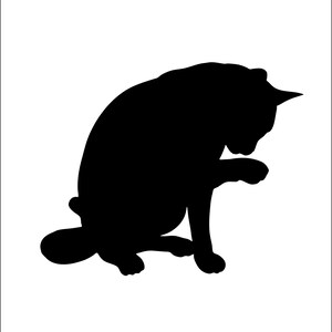 Può includere: Silhouette di un gatto nero seduto sui suoi quarti posteriori, che guarda in basso alle sue zampe.