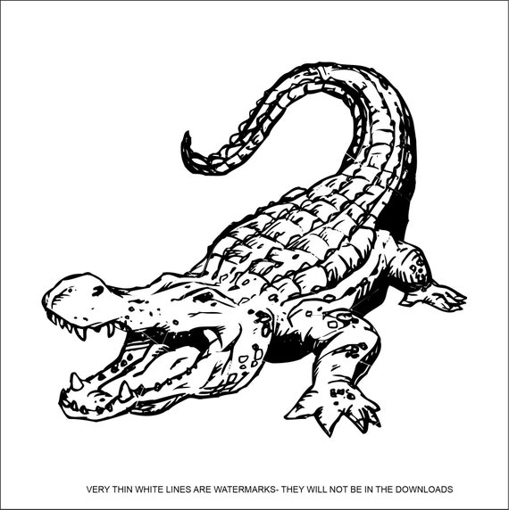 Alligator Body 2 Crocodile Gator Swamp Open Mouth Zoo Animal Wild Reptile  Wildlife Cut Sign Clipart Digital Download Eps/dxf/png/jpeg/svg - Etsy  Israel