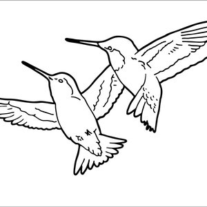 Hummingbird 2 Birds In Flight Bird Sugar Water Feeder Wing Beauty Animal  * Cut Sign Image ClipArt digital download eps/dxf/png/jpeg/svg