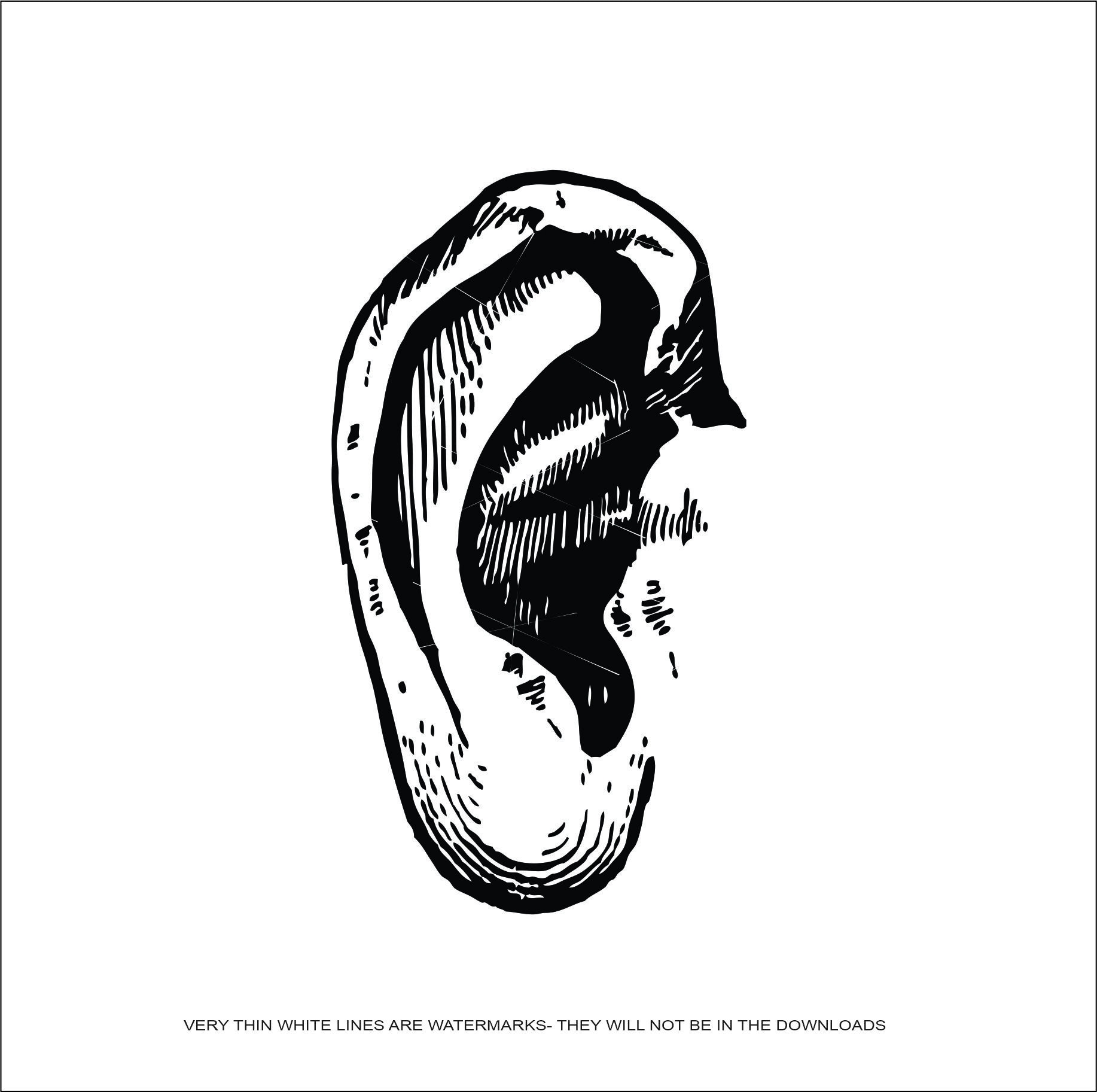 Human Ear Hear Organ Hearing Balance Equilibrium Sound Waves Auditory * Cut  Sign Image ClipArt digital download eps/dxf/png/jpeg/svg, image size:1834x1825