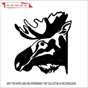 May include: Black and white silhouette of a moose head with antlers. The moose is facing to the right.
