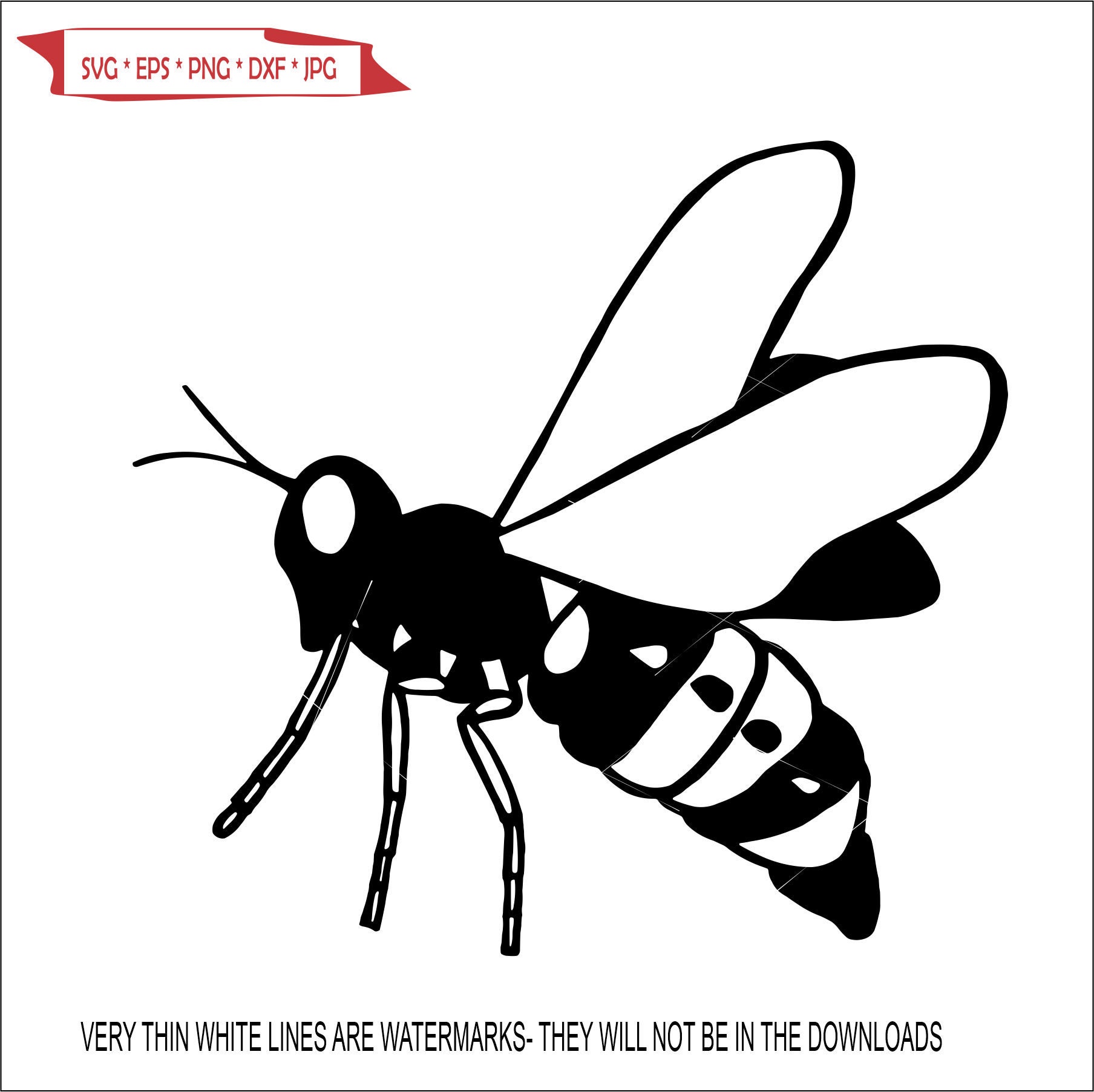 Bee Hornet Wasp Stinger Wasp Flying 