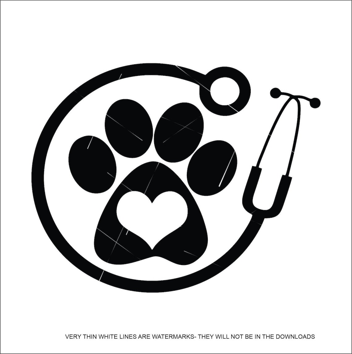 Veterinarian Vet Doctor Animals Pet Paw Print Stethoscopes Etsy