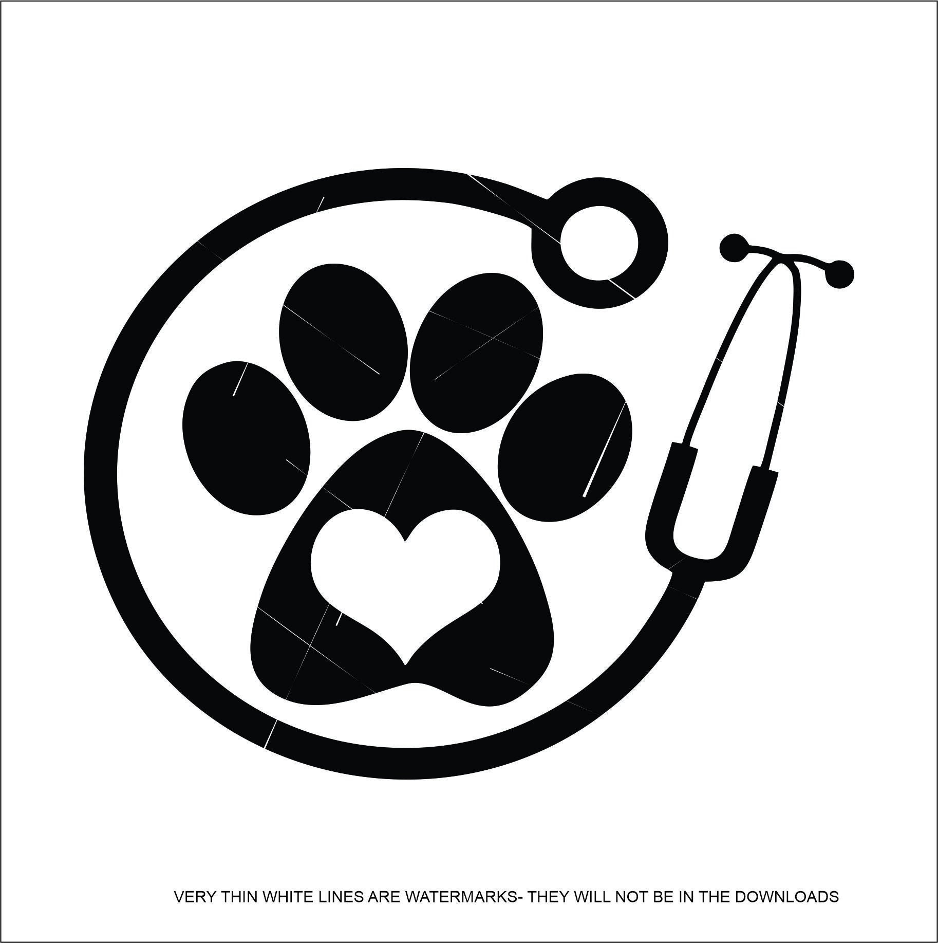 Stethoscope with paw print line icon veterinary Vector Image