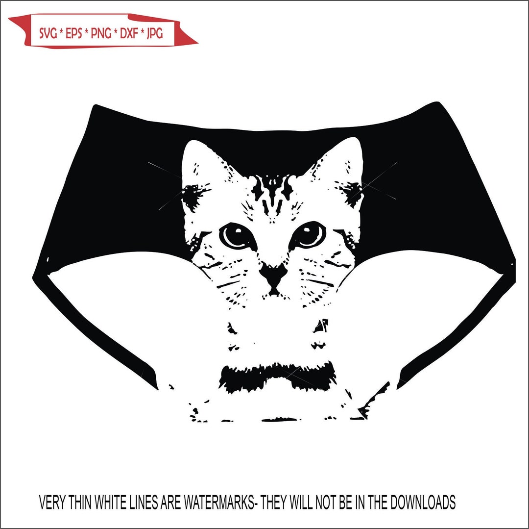 Pussycat Cat Panties Sexy Underwear Cloths Kitten Feline Purrs Animal