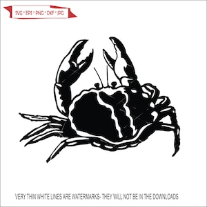 Crab Fishing Ocean Sea Seafood King Crab Legs Food Beach Eating Lobster * Cut Sign Image ClipArt digital download eps dxf png jpeg svg