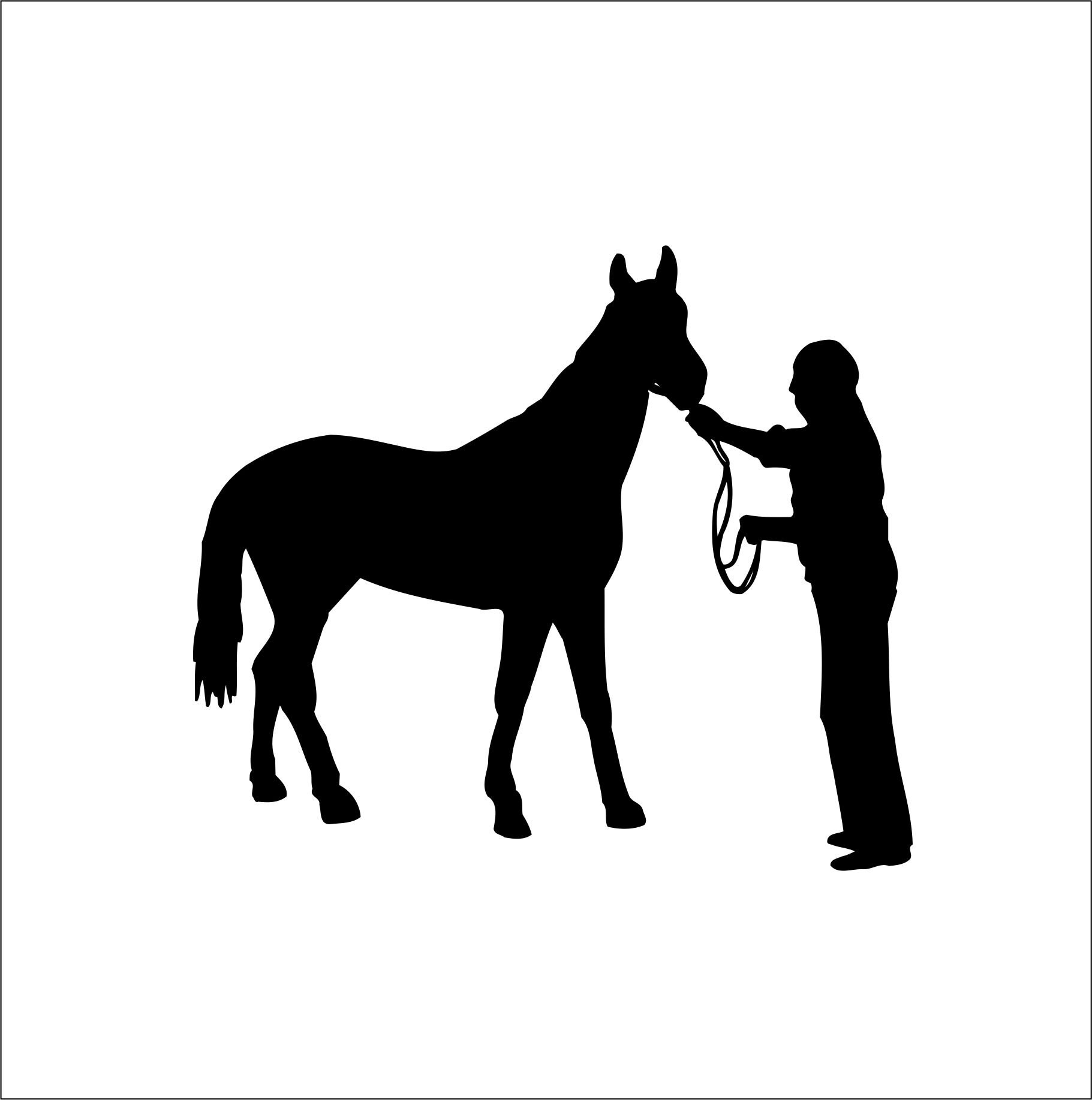 Man Putting on Lead Rope Horse Maybe a Thoroughbred Cut Etsy UK