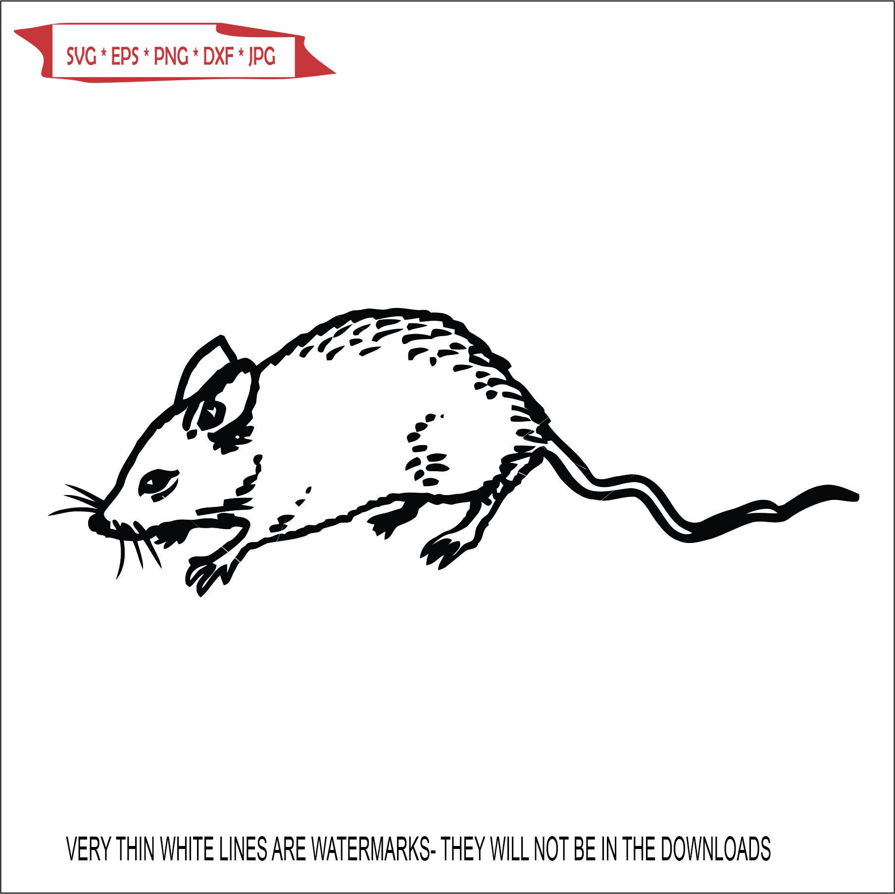 Scurring Rats Mouse Rat Scurring Away Small Mammal Furry Rodent Animal Scarry Cheese ...