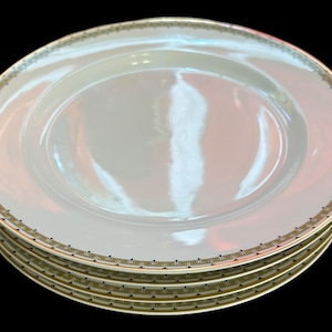 Set of 4 dinner plates Albany Pattern by Haviland Limoges