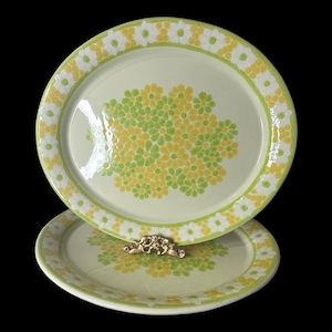 Franciscan Picnic 14” platter - 2 available