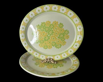 Franciscan Picnic 14” platter - 2 available