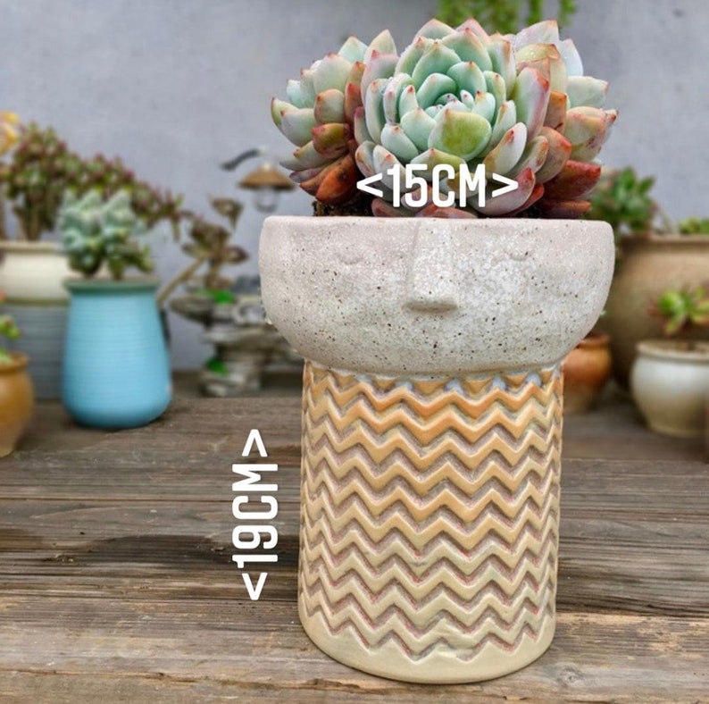 Stunning Indoor Outdoor Planters Nordic Inspired Creative Minimalistic Face Pots Ceramic Art Sculpture Flower Pot Decorative Plant pot