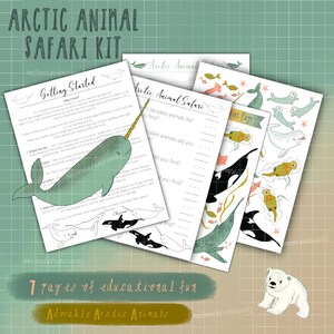 Puede incluir: Un kit educativo de Safari de animales árticos con siete páginas de diversión. El kit incluye páginas ilustradas con un narval, orcas y otros animales árticos. El texto en las páginas dice "Arctic Animal Safari" y "Getting Started".
