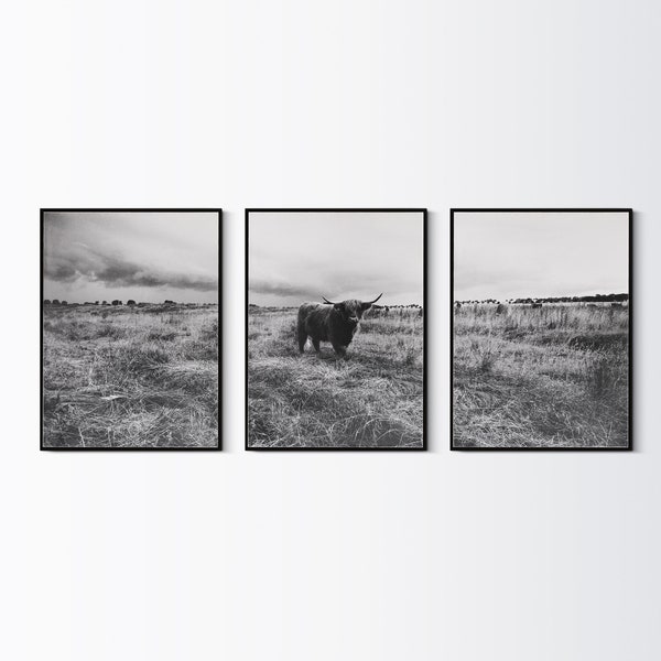 Set of 3 Piece Cow Print, Nursery Farm Animal Wall Art, Large Poster, Farmhouse Decor, Modern Minimalist, Black and White Printable Photo