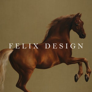 May include: A brown horse with a white blaze on its face is rearing up on its hind legs. The horse has a long, flowing mane and tail. The background is a muted brown color. The text "FELIX DESIGN" is printed in white across the middle of the image.