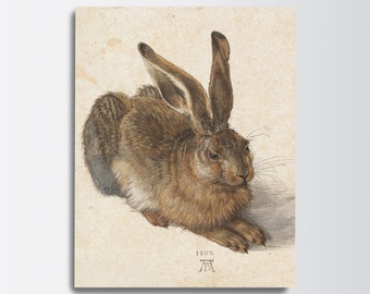 Albrecht Durer - Young Hare (1502) - Drawing Painting Digital Poster Print Art Gift Wall Home Vintage Decor Room Rabbit Animal Famous
